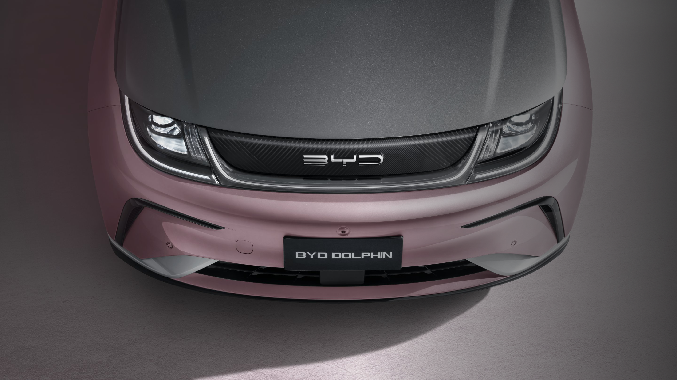 Mobil 抖圈 Dolphin tampak depan